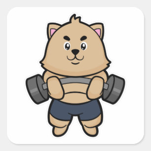Adesivo Quadrado Gato em Bodybuilding com Barbell