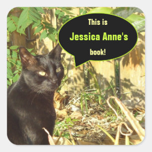 Adesivo Quadrado Gato em Bookplates do costume de Sun da manhã