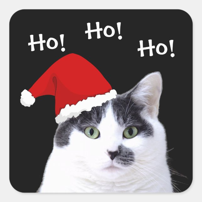 Adesivo Quadrado Gato em Santa Hat (Frente)