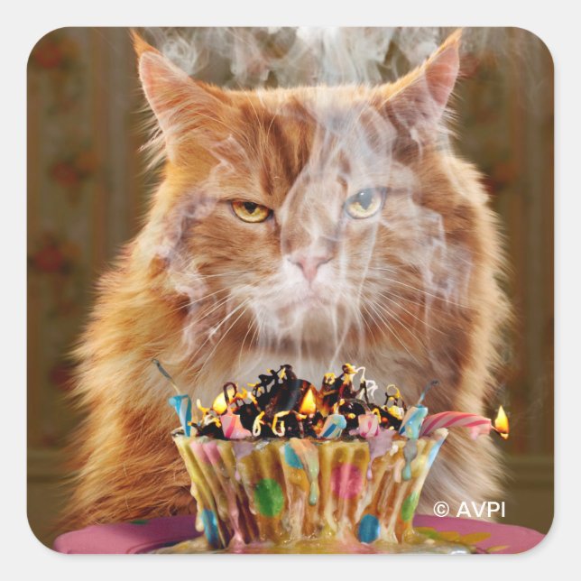 Adesivo Quadrado Gato Engraçado Com Cupcake De Aniversário Derretid (Frente)