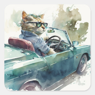 Adesivo Quadrado Gato engraçado dirigindo um cartaz esportivo de ri