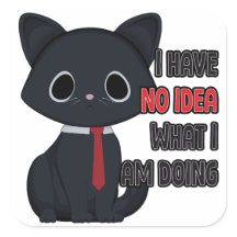 Gato Engraçado Não Tenho a Menor Ideia Do Que Esto
