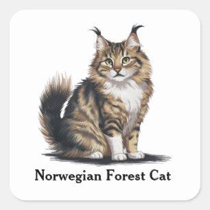Adesivo Quadrado Gato Florestal Norueguês