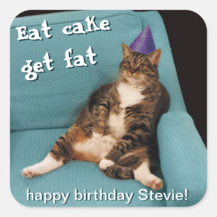 Adesivo Quadrado Gato gordo grande que senta-se no chapéu roxo do