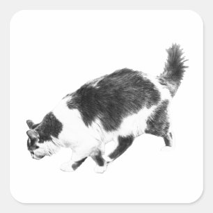 Adesivo Quadrado Gato Halloween em Linhas Negras