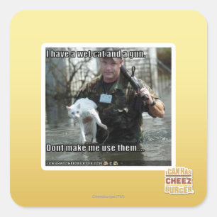 Adesivo Quadrado Gato molhado e arma