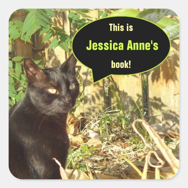 Adesivo Quadrado Gato na Manhã - Livros Personalizados do Sol (Frente)