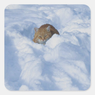Adesivo Quadrado Gato na neve