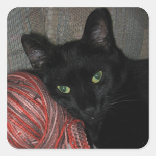 Adesivo Quadrado Gato Negro Halloween