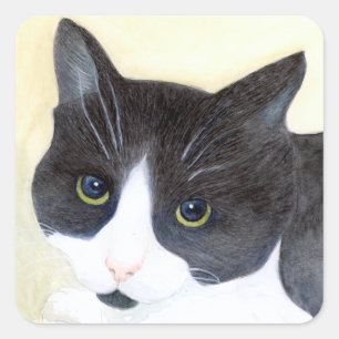 Adesivo Quadrado Gato Preto e Branco