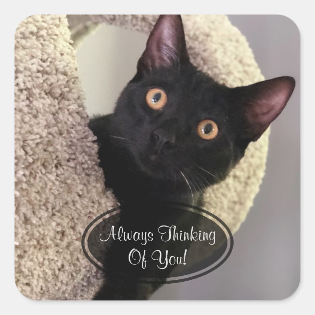 Adesivo Quadrado Gato Preto Pensando Em Vocês Viciados (Frente)