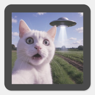 Adesivo Quadrado Gato Selfie Com Alien Ufo