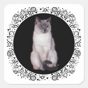 Adesivo Quadrado Gato Siames