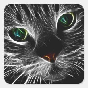 Adesivo Quadrado Gato Sólido, Felino, Espírito Santo