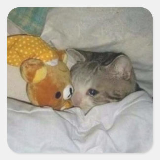 Adesivo Quadrado gato triste na cama
