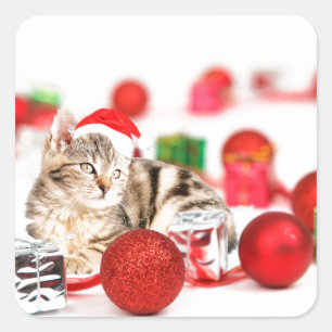 Adesivo Quadrado Gato usando enfeite de Natal chapéu vermelho de Pa