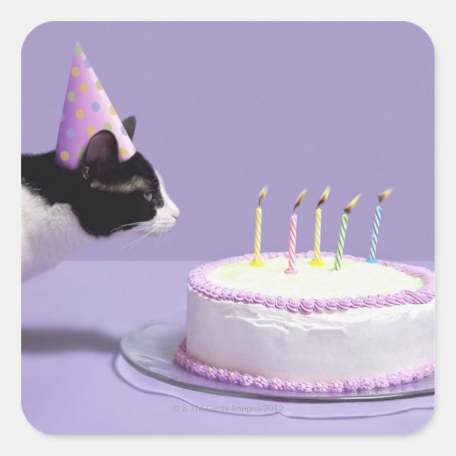 Adesivo Quadrado Gato vestindo chapéu de aniversário soprando velas (Frente)