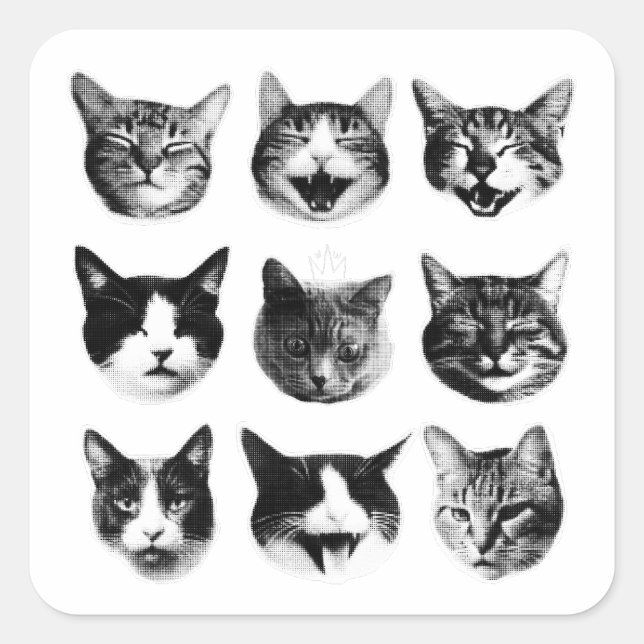 Adesivo Quadrado Gatos (Frente)
