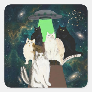 Adesivo Quadrado Gatos Cósmicos & Arte de Abdução Espacial OVNI