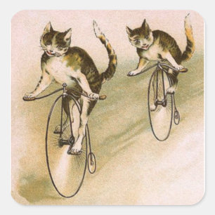 Adesivo Quadrado Gatos do vintage em bicicletas