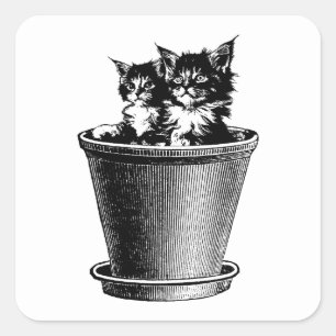 Adesivo Quadrado Gatos Gatinhos De pote Flor De Animais De Pet Art
