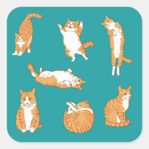 Adesivo Quadrado Gatos Laranja Engraçados
