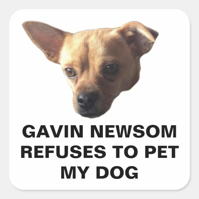 Adesivo Quadrado Gavin Newsom Recusa Pet My Dog (Frente)