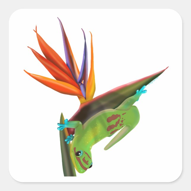 Adesivo Quadrado Gecko do dia no Pássaro do Paraíso (Frente)