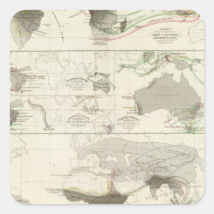 Adesivo Quadrado Geografia zoológica