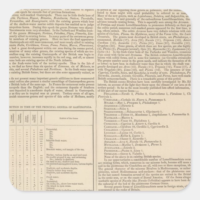 Adesivo Quadrado Geologia e Paleontologia das Ilhas Britânicas (Frente)