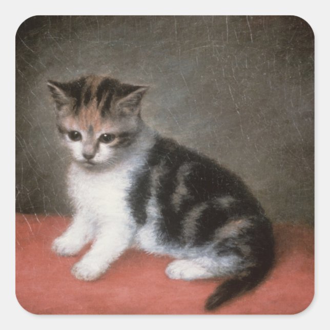 Adesivo Quadrado George Stubbs | O Kitten de Ann White, 1790 (Frente)