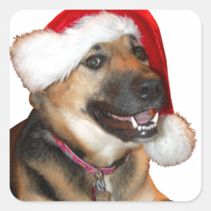 Adesivo Quadrado German shepherd de Natal