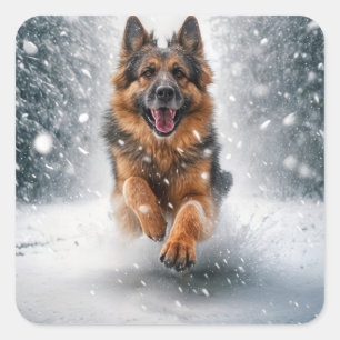 Adesivo Quadrado German shepherd Em Neve