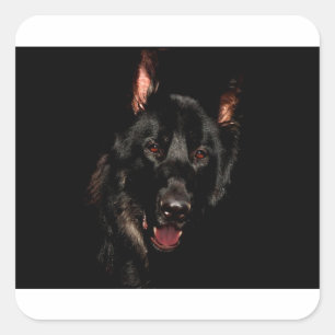 Adesivo Quadrado German shepherd Preto