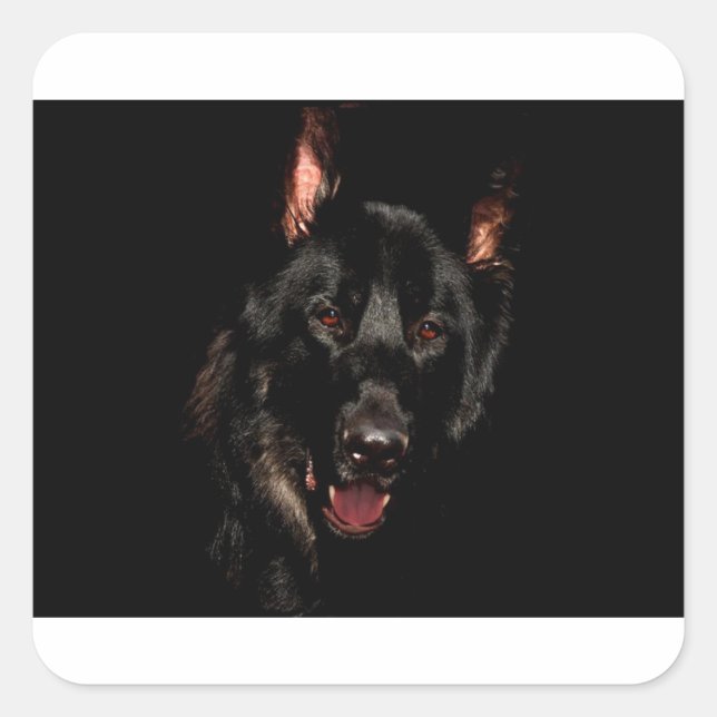 Adesivo Quadrado German shepherd Preto (Frente)