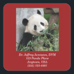 Adesivo Quadrado Giant Panda, Veterinarian, DVM, Red Christmas<br><div class="desc">Estes adoráveis adesivos vermelhos fazem parte da nossa coleção de "Pandas Gigantes". É um design popular com crianças e adultos. Esta foto original foi tirada em Chendu, China. Este exemplo mostra que ele está sendo usado por um consultório veterinário, mas o texto pode ser personalizado para atender às suas necessidades....</div>