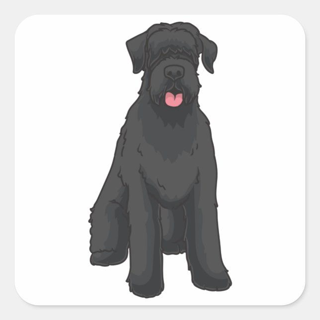 Adesivo Quadrado Giant Schnauzer (Frente)