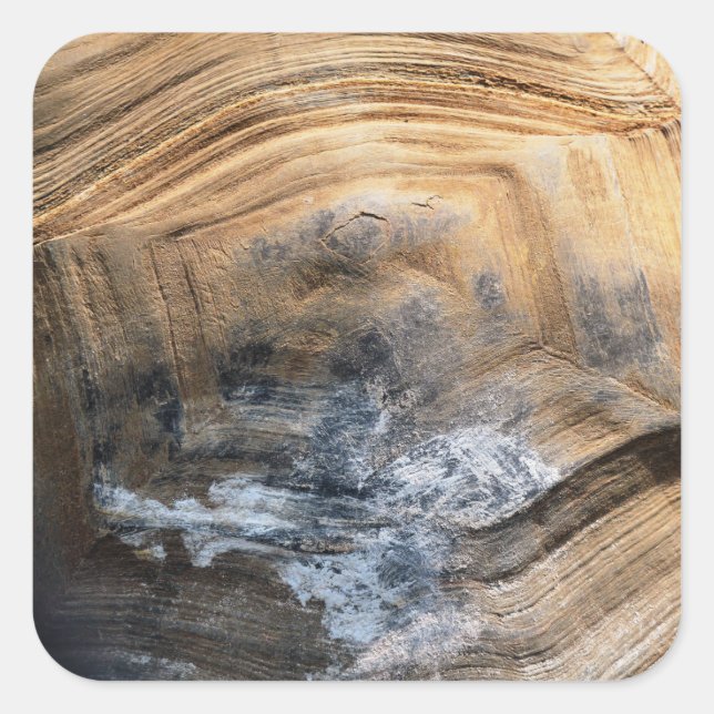 ADESIVO QUADRADO GIANT TORTOISE SHELL (Frente)