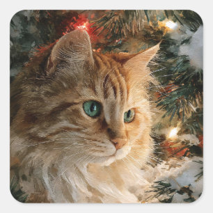 Adesivo Quadrado Ginger Maine Coon Natal