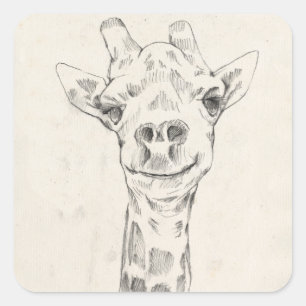 Adesivo Quadrado Giraffe Portrait Sketch