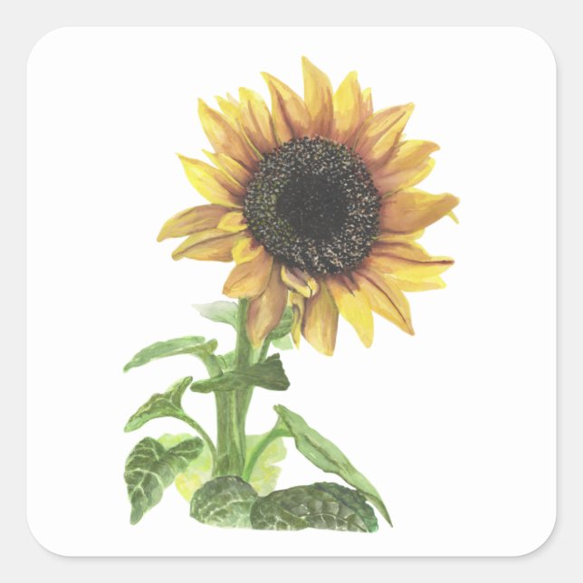 Adesivo Quadrado Girassol (Frente)