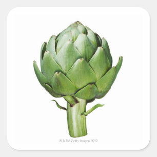 Adesivo Quadrado Globe Artichoke em White Background Corte Out