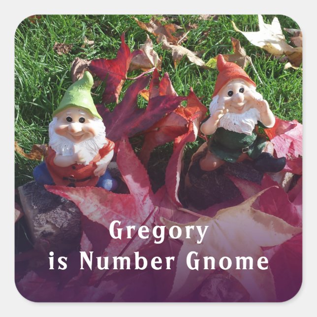 Adesivo Quadrado Gnomos De Jardim Você É O Número Gnome Adicionar N (Frente)