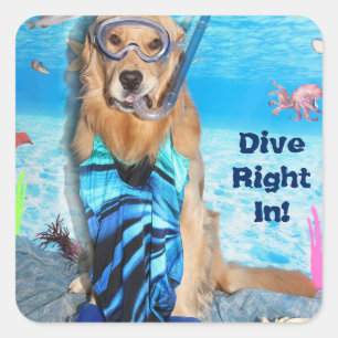 Adesivo Quadrado Golden retriever Snorkler