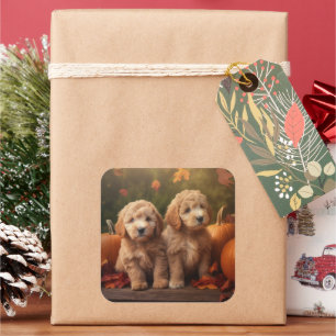 Adesivo Quadrado Goldendoodle Puppy Autumn Delight Pumpkin