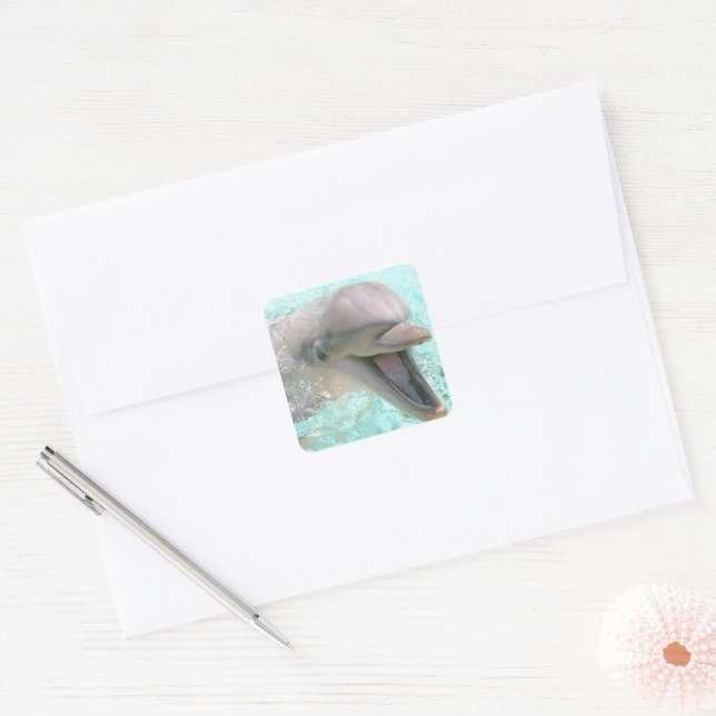 Adesivo Quadrado Golfinho Feliz Sorridente (Envelope)