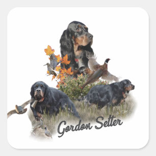 Adesivo Quadrado Gordon Setter