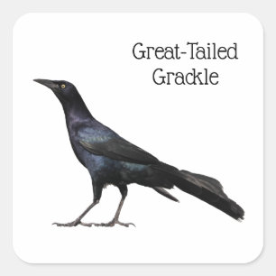 Adesivo Quadrado Grackle Com Altura excelente