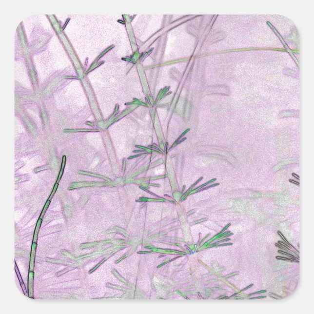 Adesivo Quadrado Grama/caule (Frente)