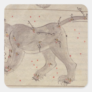 Adesivo Quadrado Grande urso, do livro das estrelas após o EL